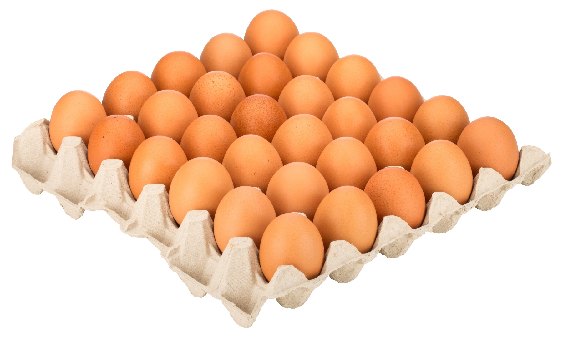 Eier Bodenhaltung Gr. M (30 Stk/Pack)