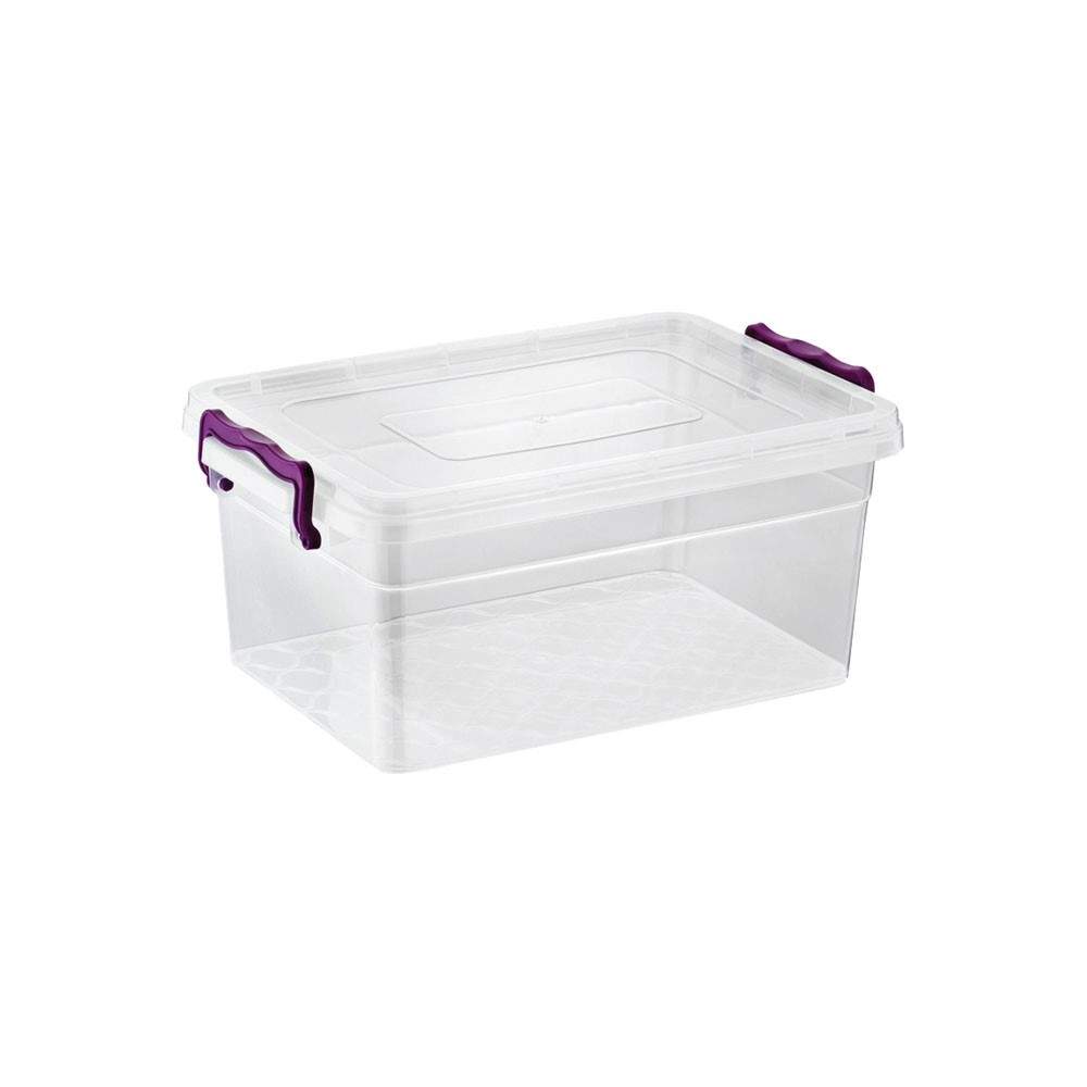 "Asude" Transparent Box 3L. mit Deckel