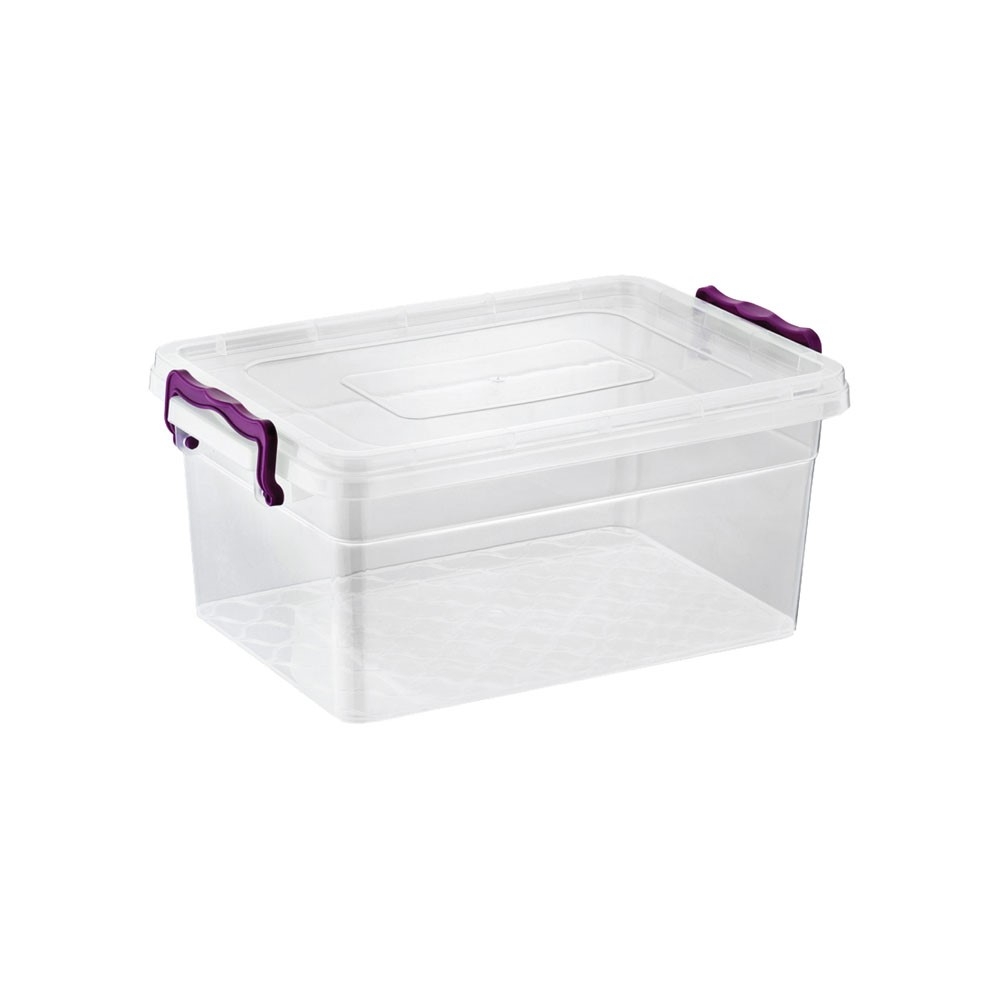 "Asude" Transparent Box 5L. mit Deckel